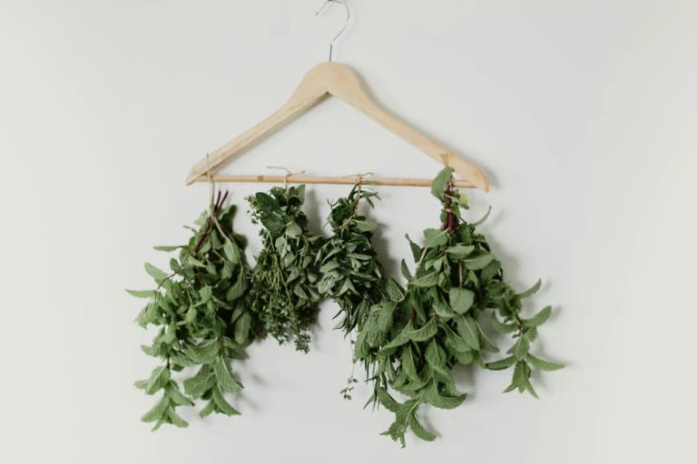 Kräuter die auf einem Bügel hängen werden getrocknet